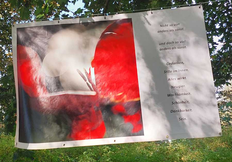Seite anzeigen...